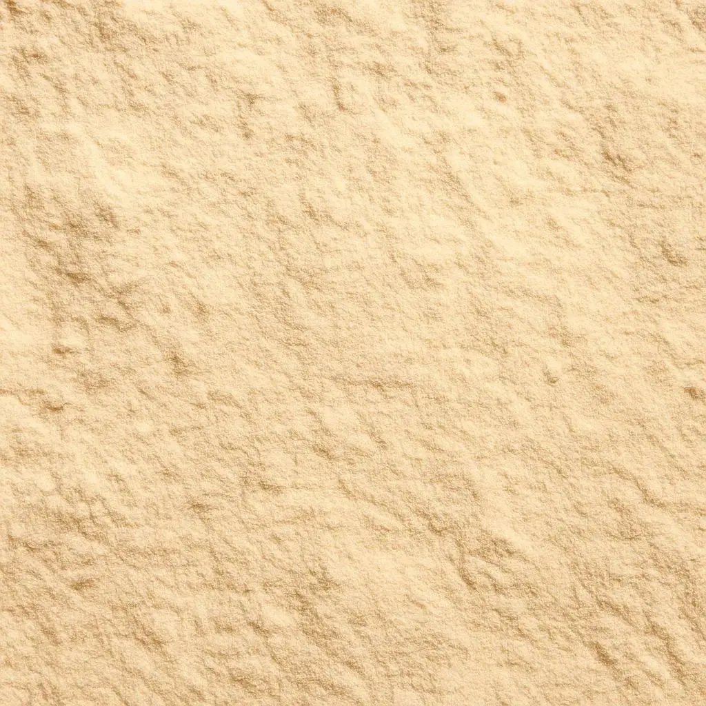 Poudre de Baobab 100% Naturelle | 750g BAOBA