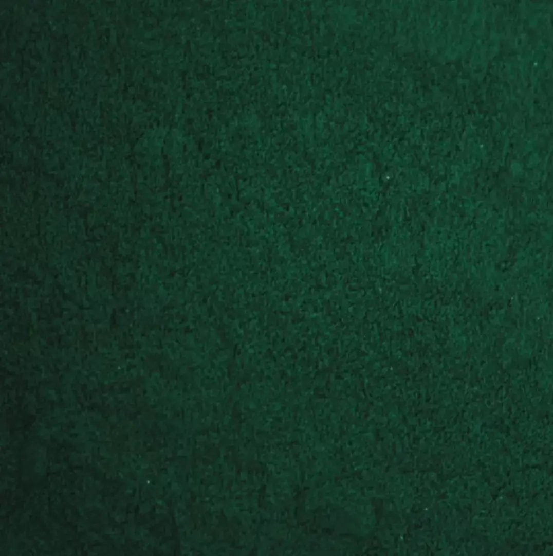 Spiruline en Poudre Bio | 250g Baoba