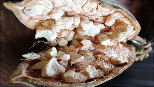Les-Bienfaits-du-Pain-de-Singe-Fruit-du-Baobab-Africain Baoba