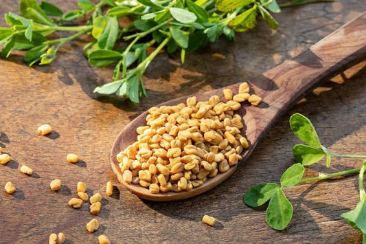 Bienfaits du fenugrec : ce que dit la science