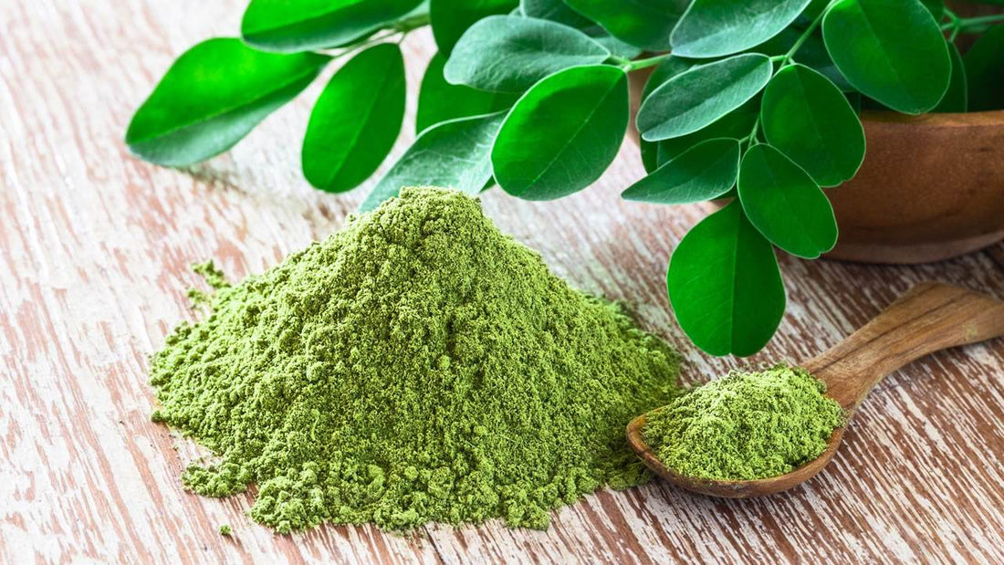 bienfaits poudre de moringa