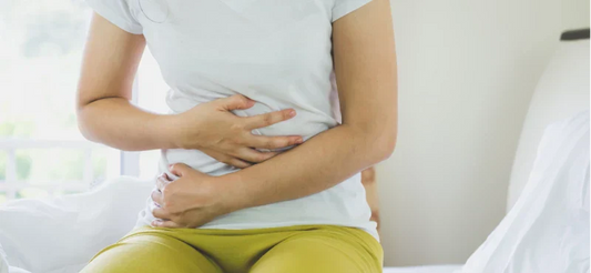 transit intestinal image