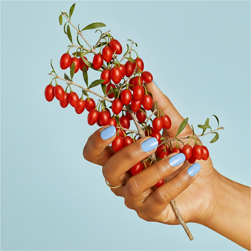 plante baies de goji