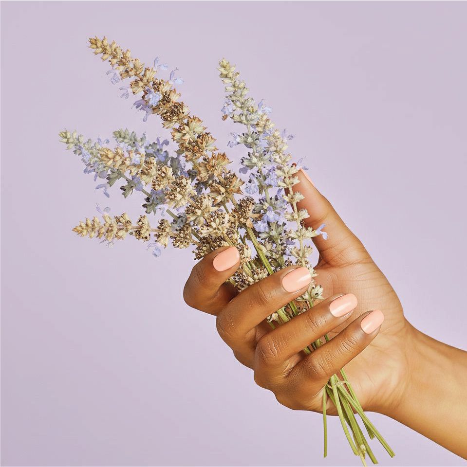 plante graines de chia