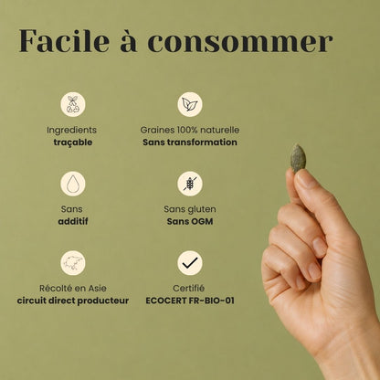 Graines de Courge Bio – Zinc, Magnésium & Protéines
