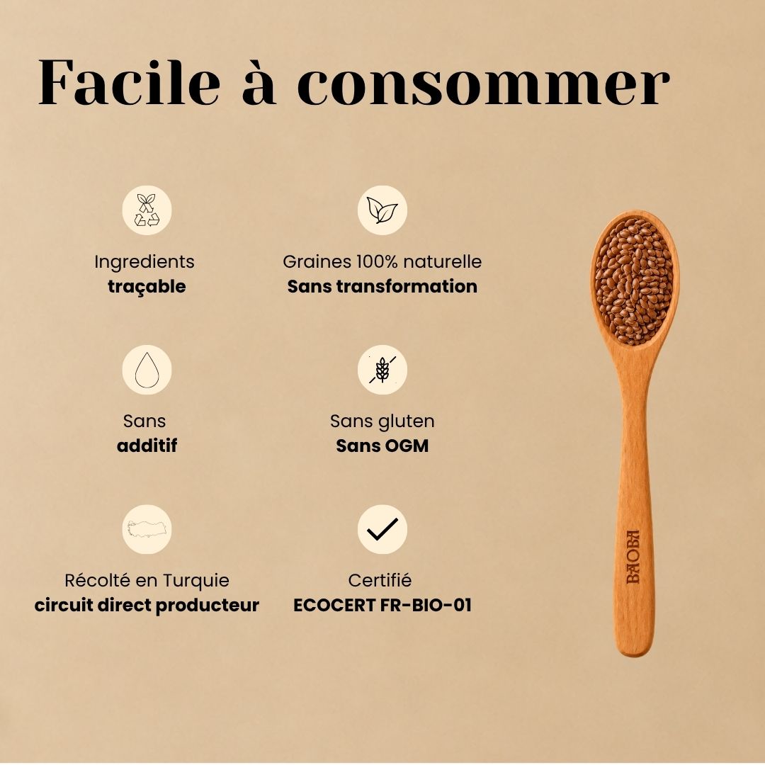 Graines de Lin Bio – Riches en Oméga-3 & Fibres