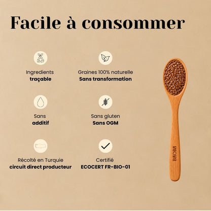 Graines de Lin Bio – Riches en Oméga-3 & Fibres