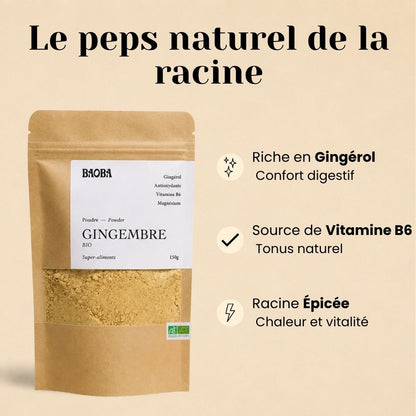 Poudre de Gingembre Bio – Digestion, Tonus & Immunité