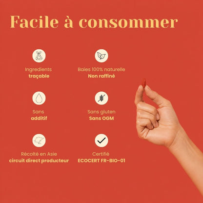 Baies de Goji Bio – Antioxydants, Vitamine C & Énergie