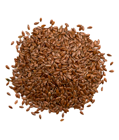 Graines de Lin Bio