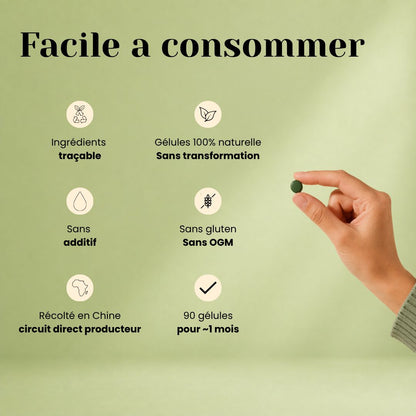 Comprimés de Spiruline Bio – Protéines, Fer & Énergie