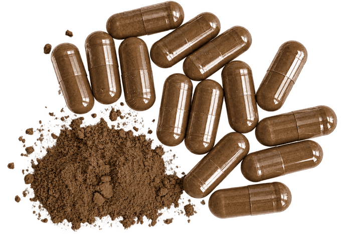 Gélules de Chaga Bio