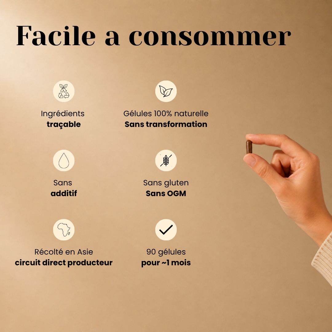 Gélules de Cordyceps Bio – Énergie, Endurance & Performance