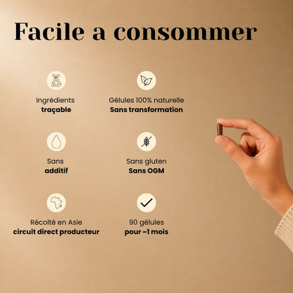 Gélules de Cordyceps Bio – Énergie, Endurance & Performance