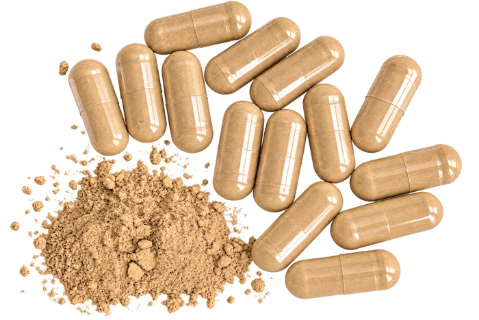 Gélules de Lion's Mane Bio