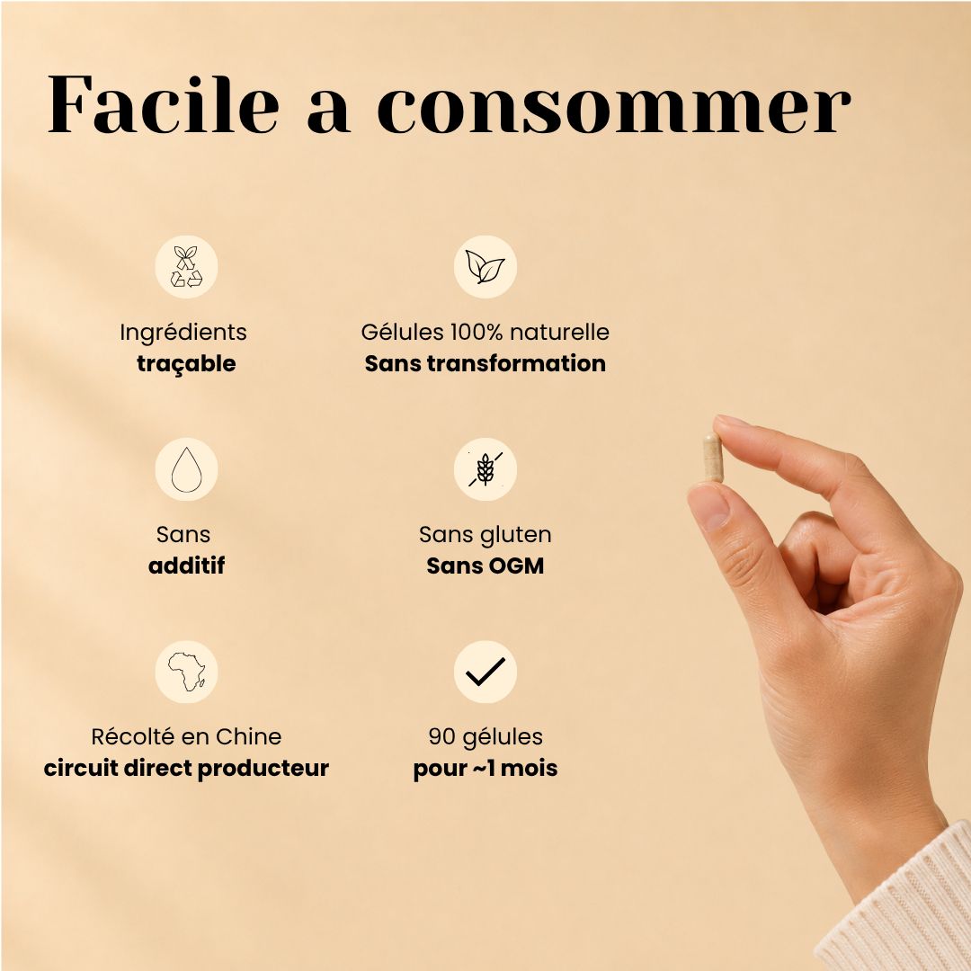 Gélules de Lion's Mane Bio – Mémoire, Concentration & Focus