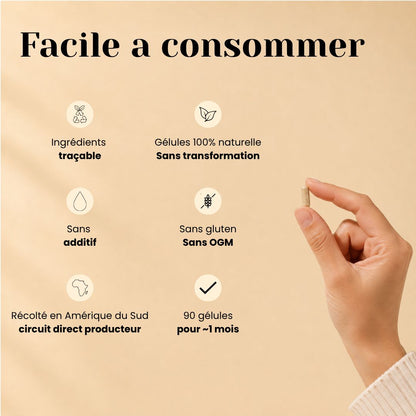 Gélules de Maca Bio – Énergie, Vitalité & Tonus
