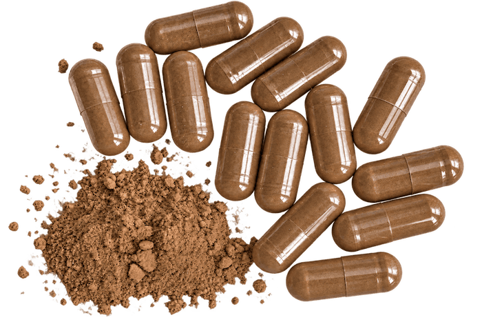 Gélules de Reishi Bio