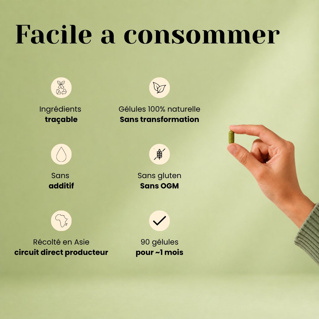 Gélules de Moringa Bio – Vitalité, Fer & Vitamines