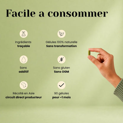 Gélules de Moringa Bio – Vitalité, Fer & Vitamines