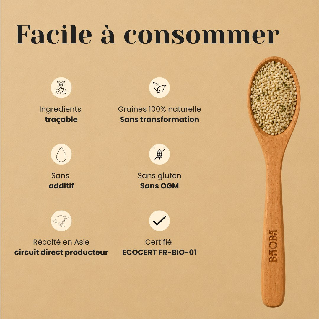 Graines de Chanvre Bio – Protéines Complètes, Oméga-3 & 6