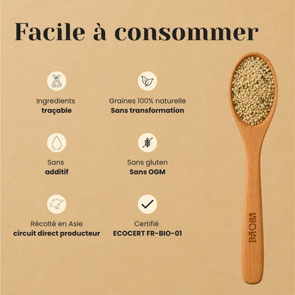 Graines de Chanvre Bio – Protéines Complètes, Oméga-3 & 6